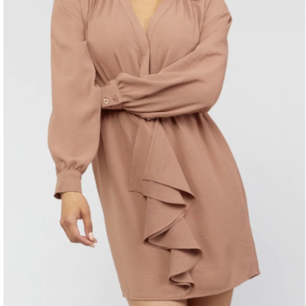 NWT Collared Shirt Mini Dress